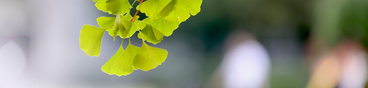 平博·(pinnacle)官方网站